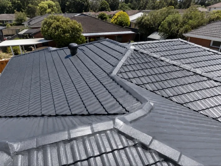 RSA Painting Roof Restoration project 1