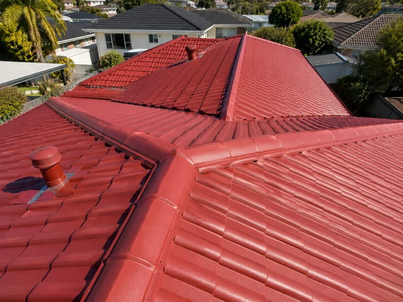 RSA Painting Roof Restoration project 5